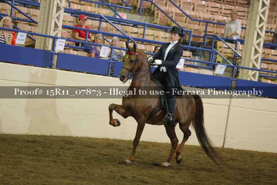 Proof 15R11_07873