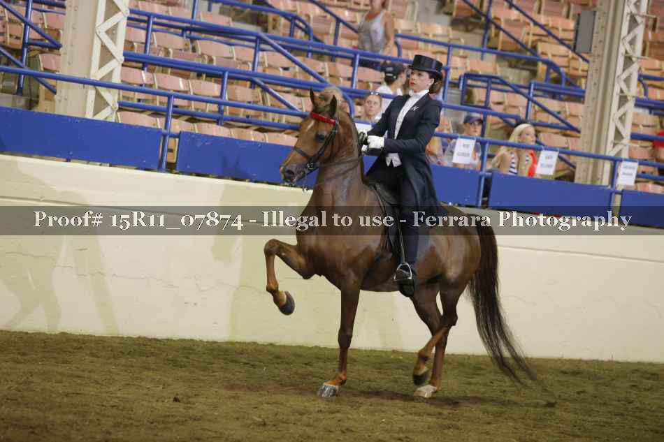 Proof 15R11_07874