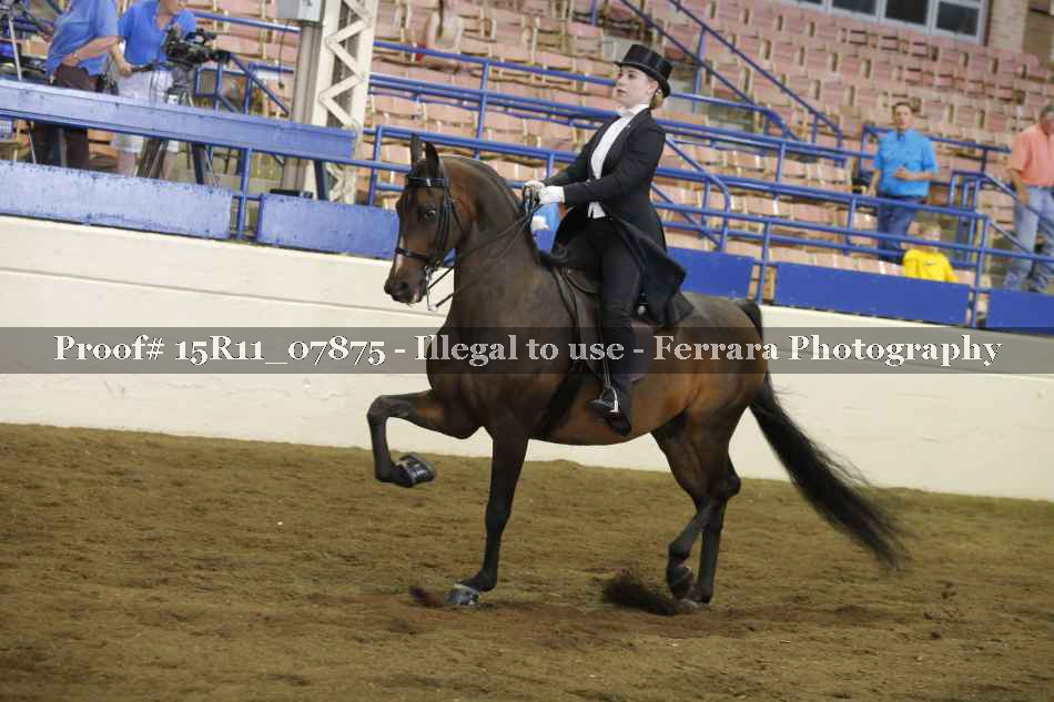 Proof 15R11_07875