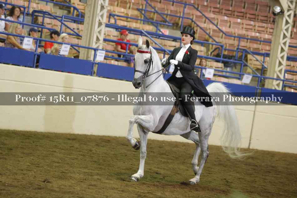 Proof 15R11_07876