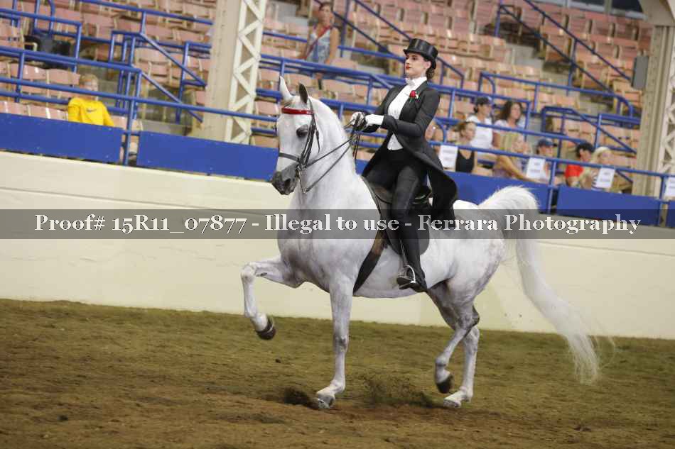Proof 15R11_07877
