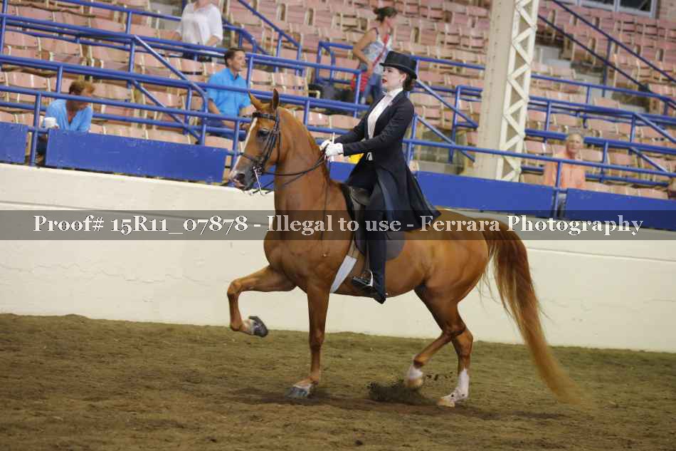 Proof 15R11_07878