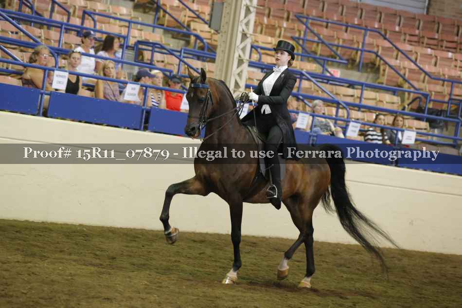 Proof 15R11_07879