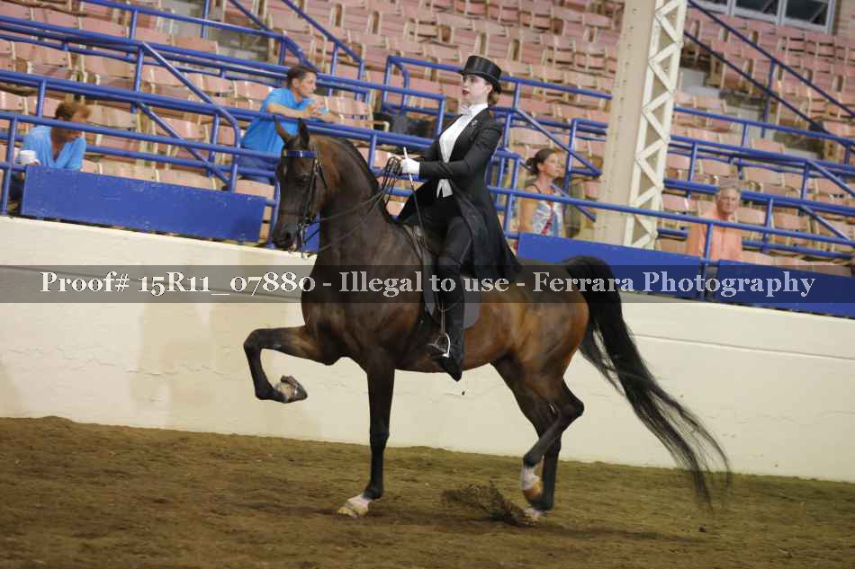 Proof 15R11_07880