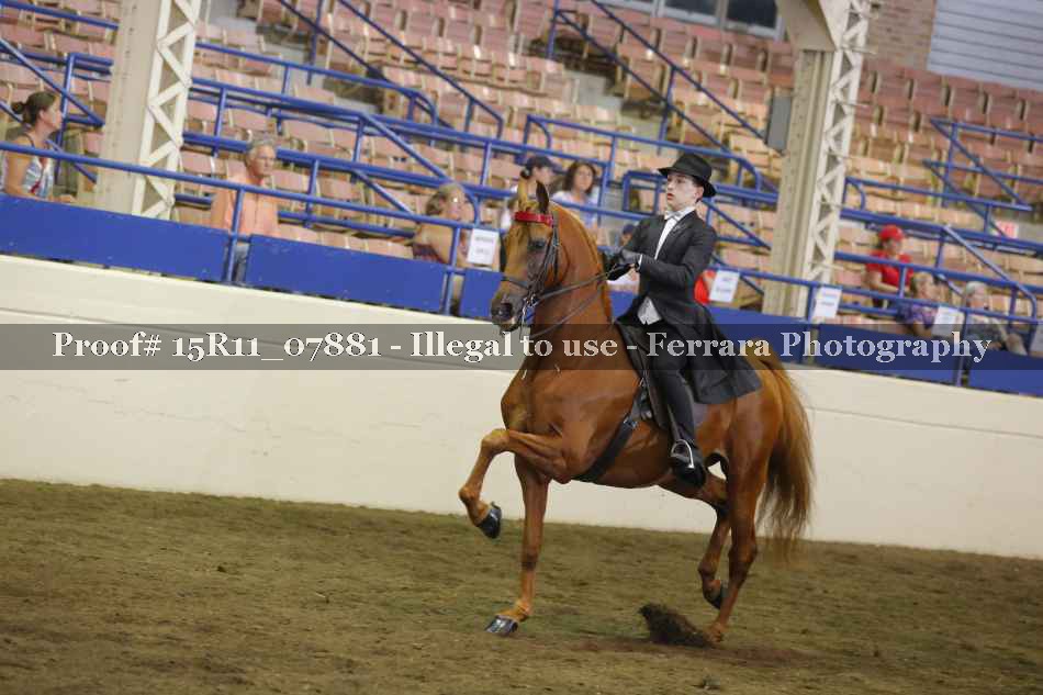 Proof 15R11_07881