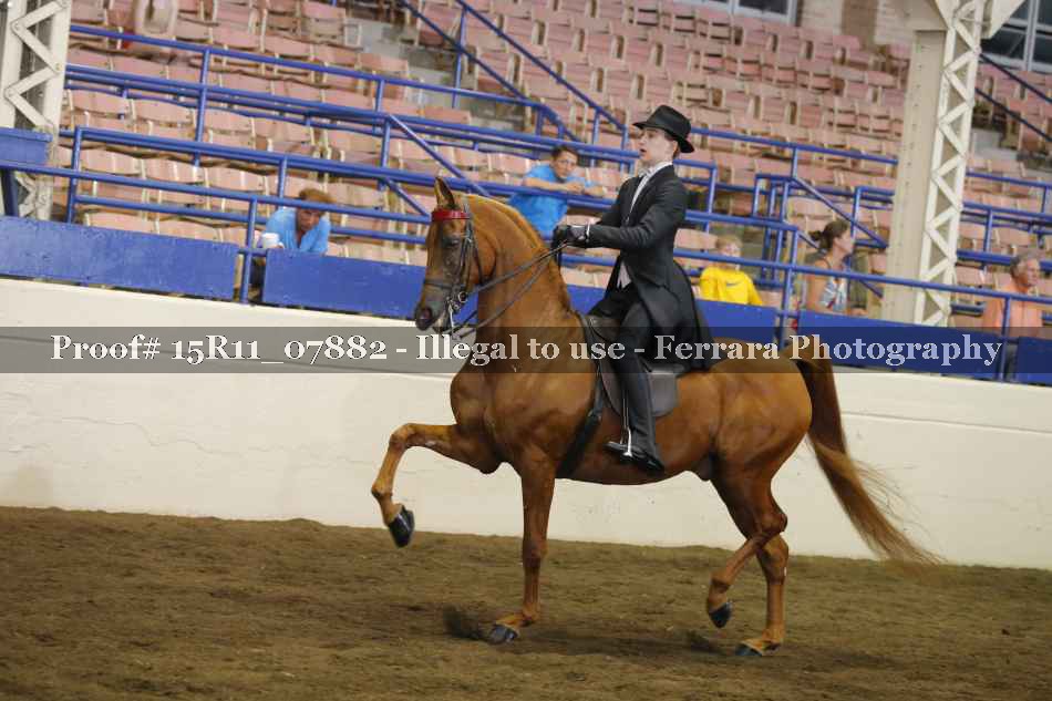 Proof 15R11_07882