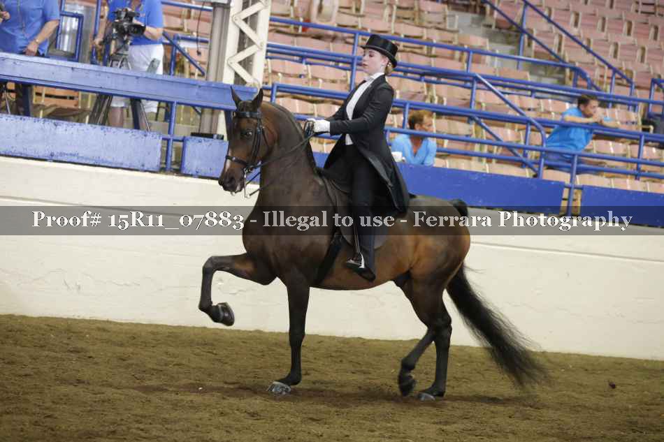 Proof 15R11_07883