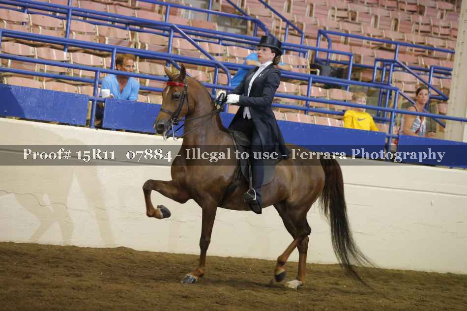 Proof 15R11_07884