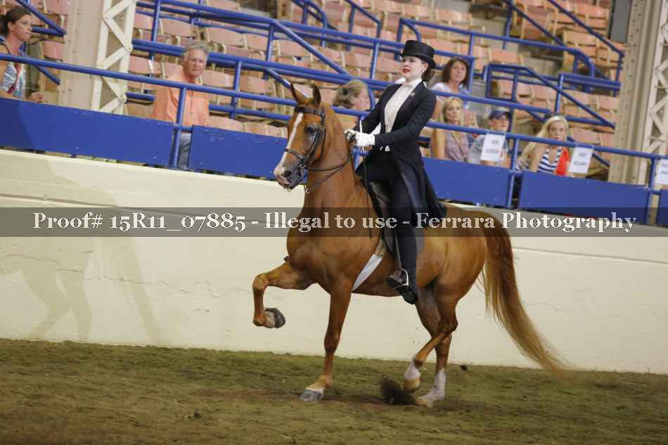 Proof 15R11_07885