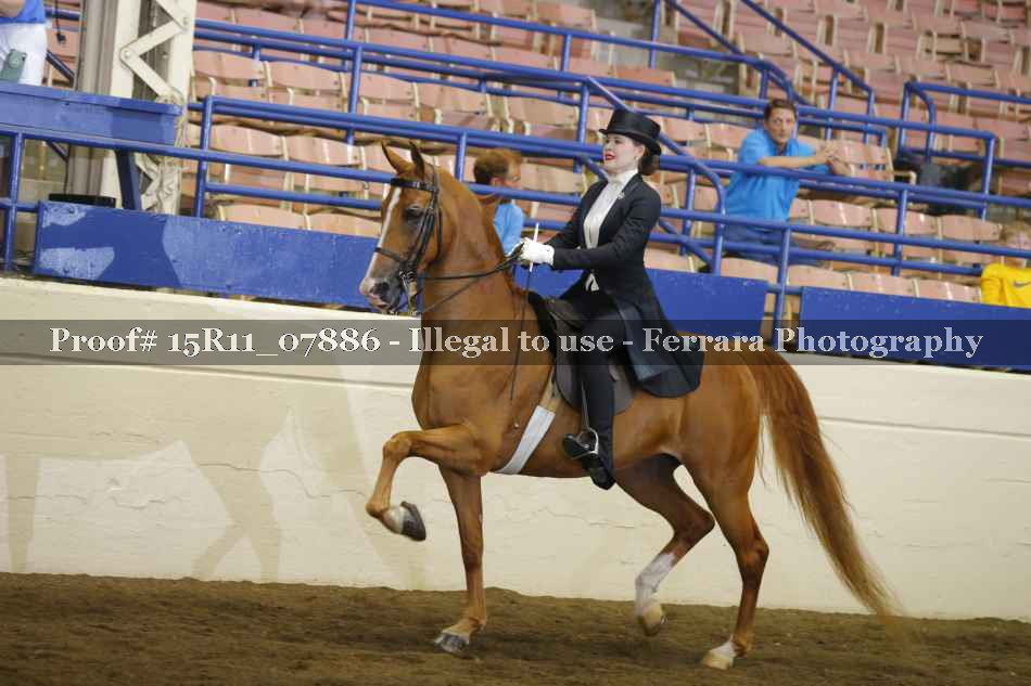 Proof 15R11_07886