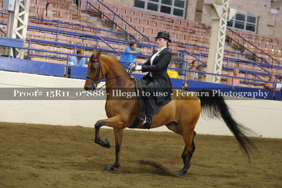 Proof 15R11_07888