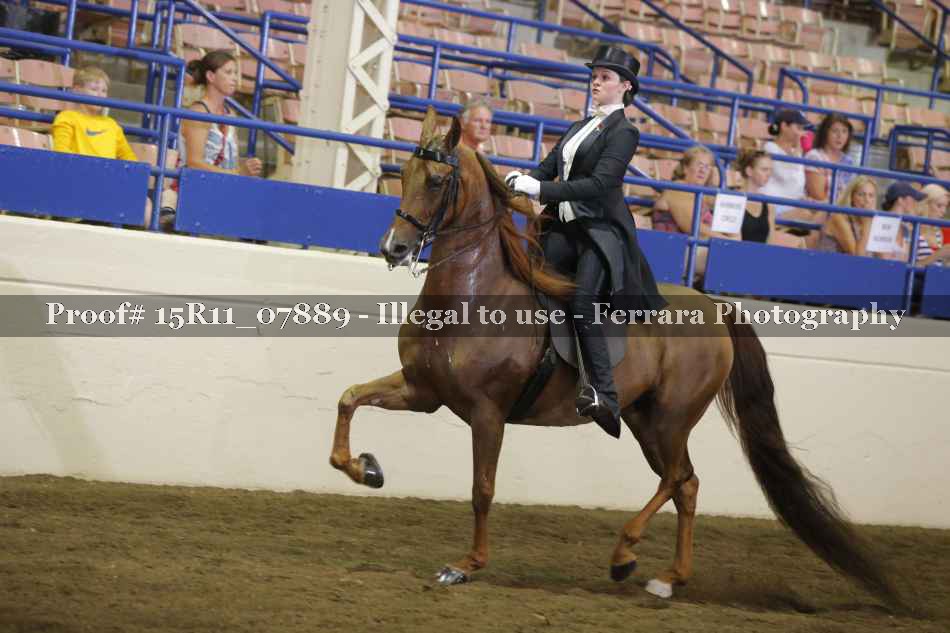 Proof 15R11_07889
