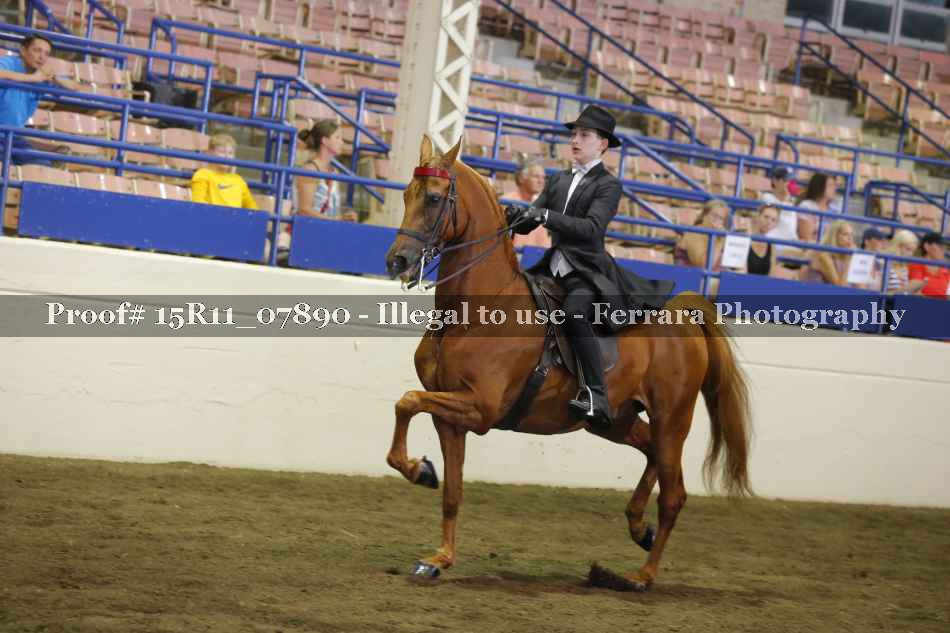 Proof 15R11_07890