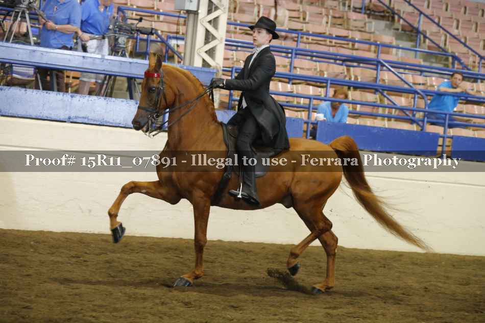 Proof 15R11_07891