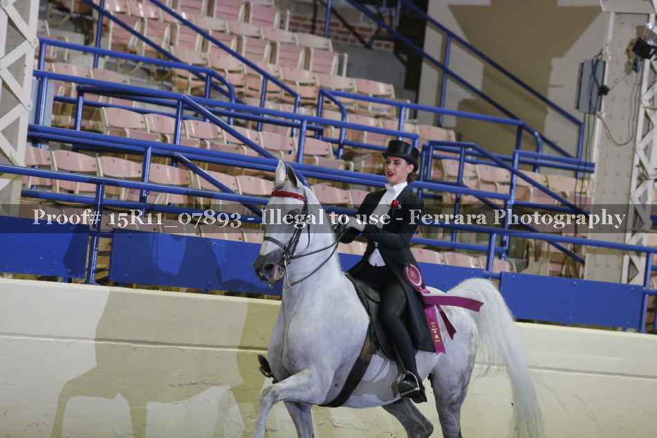 Proof 15R11_07893