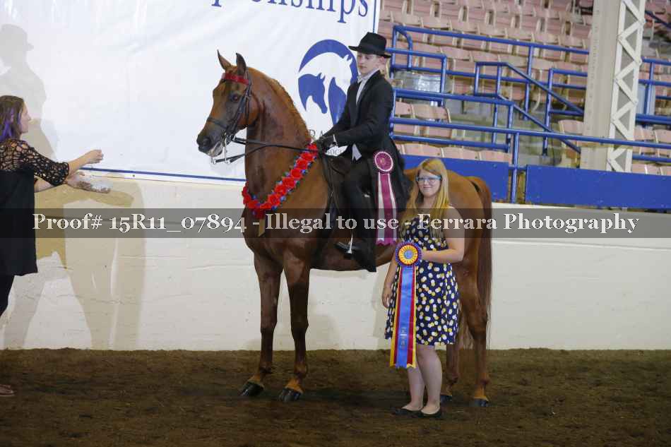 Proof 15R11_07894