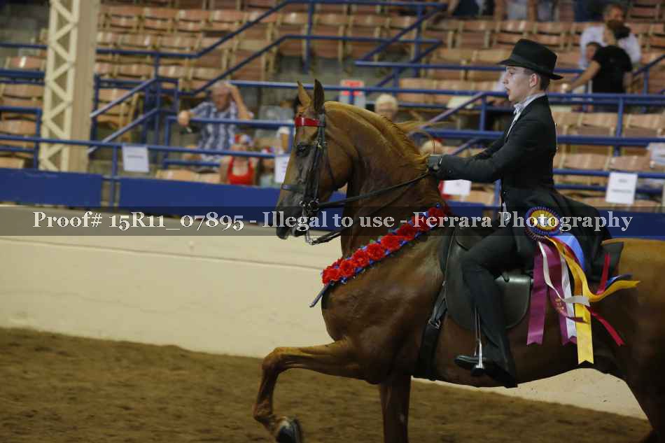 Proof 15R11_07895