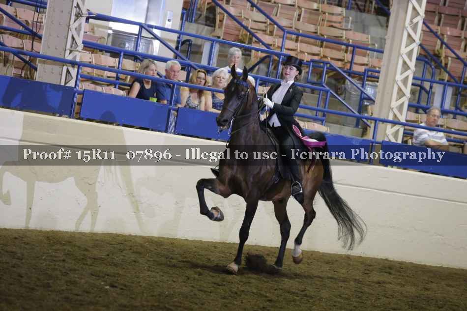 Proof 15R11_07896