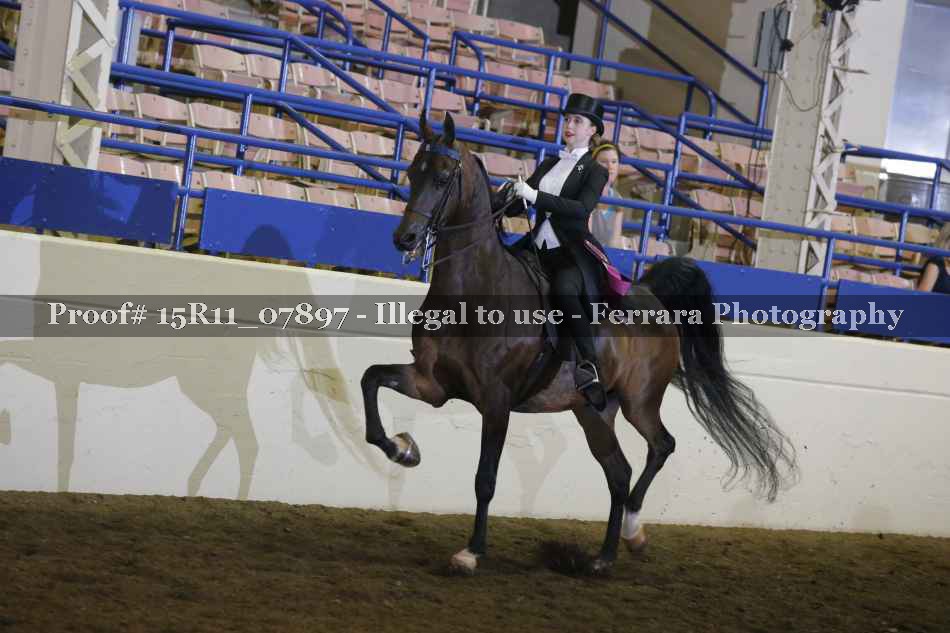 Proof 15R11_07897