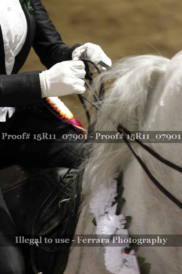 Proof 15R11_07901