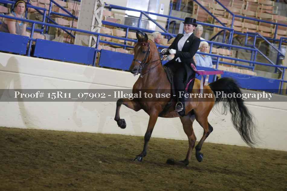 Proof 15R11_07902