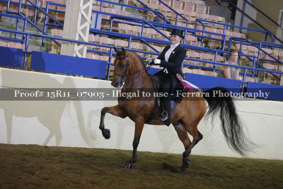 Proof 15R11_07903