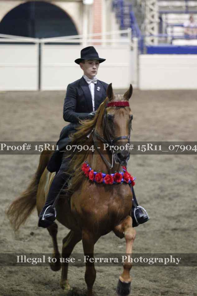 Proof 15R11_07904