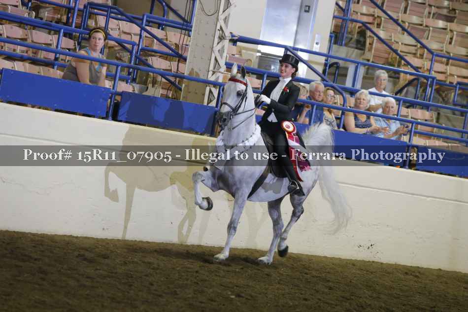 Proof 15R11_07905