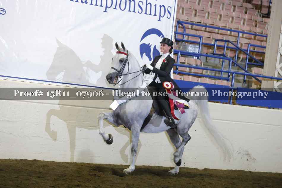 Proof 15R11_07906