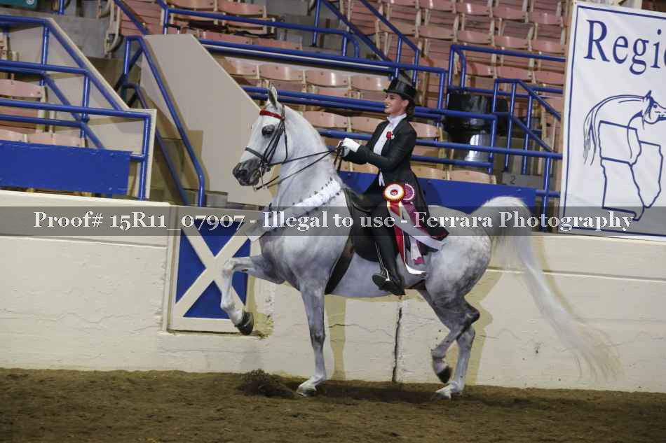 Proof 15R11_07907