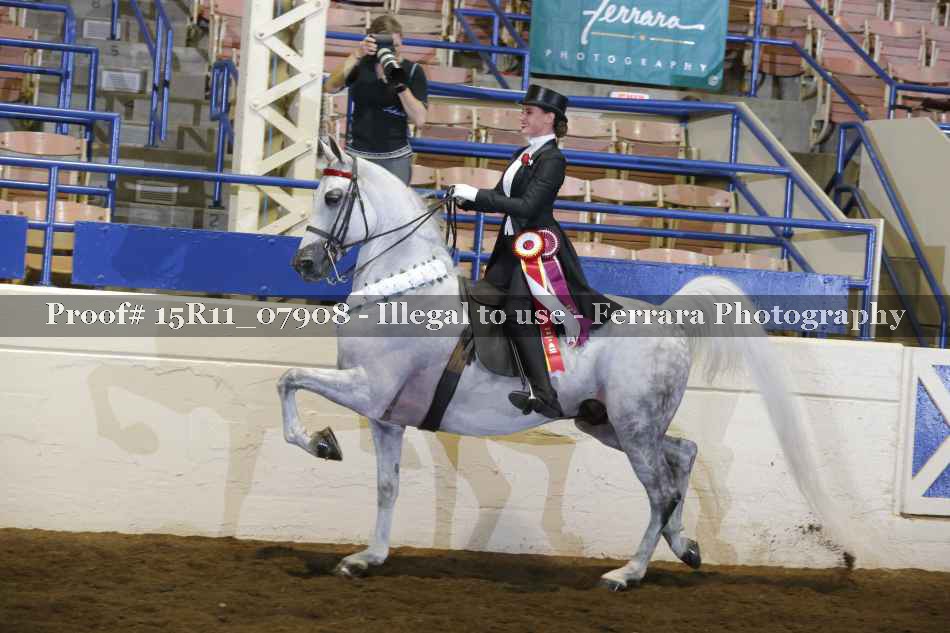 Proof 15R11_07908