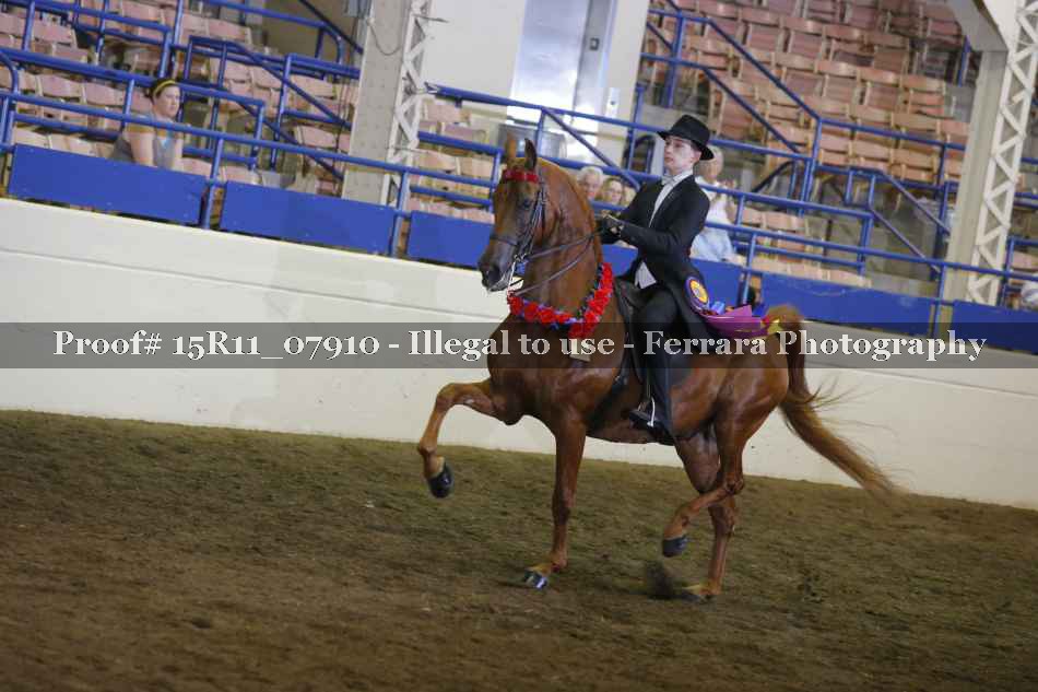 Proof 15R11_07910