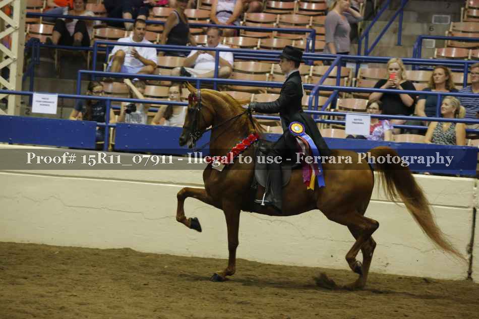 Proof 15R11_07911