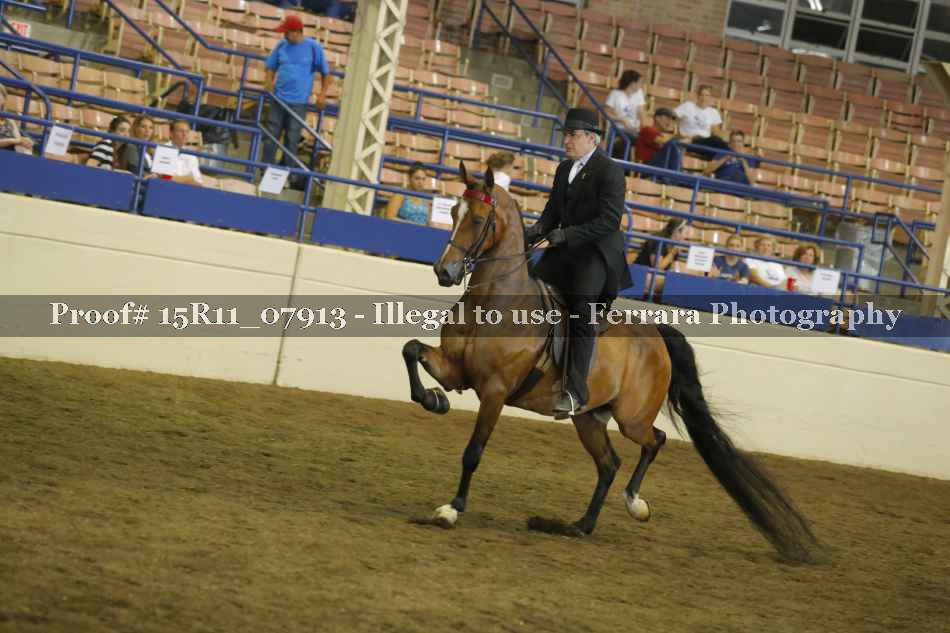 Proof 15R11_07913