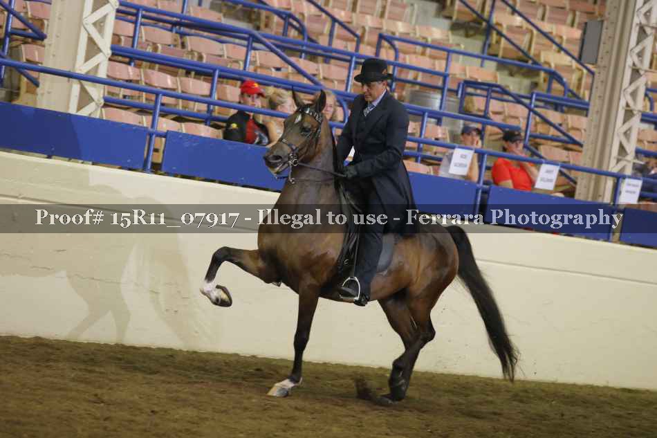 Proof 15R11_07917