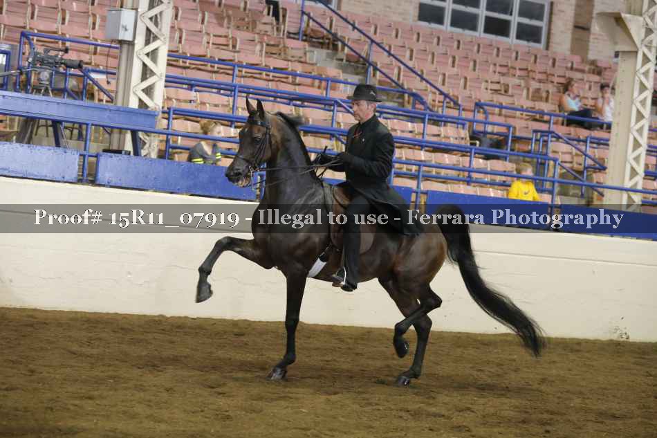 Proof 15R11_07919