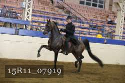 15R11_07919 proof