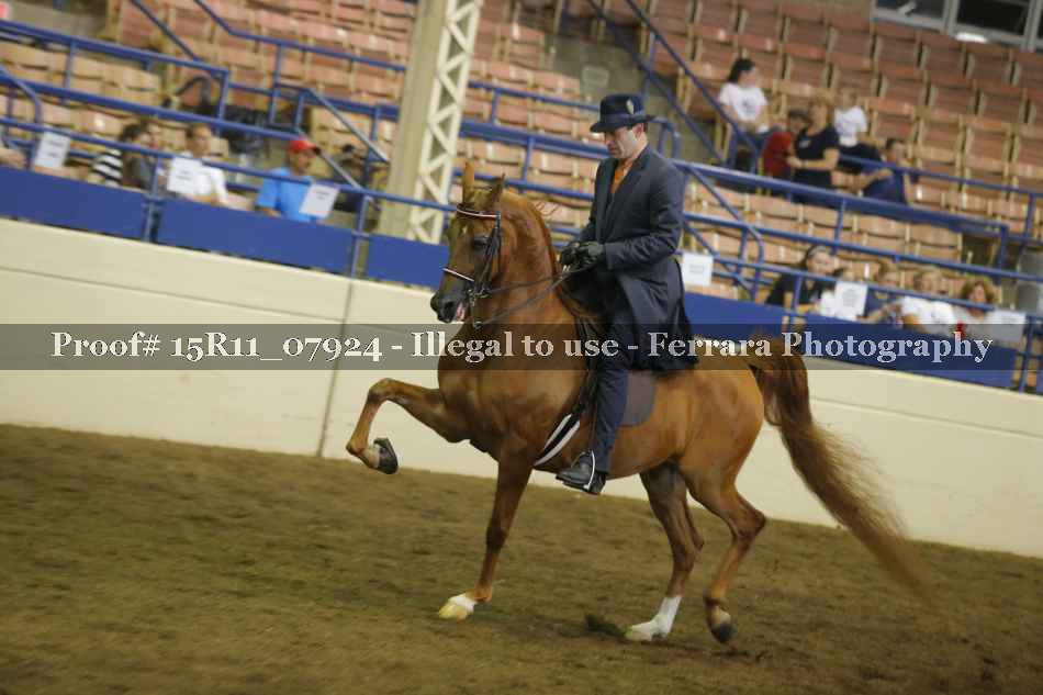 Proof 15R11_07924