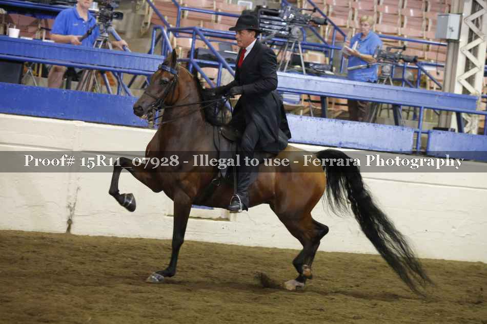Proof 15R11_07928