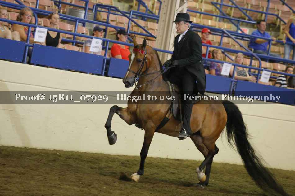 Proof 15R11_07929