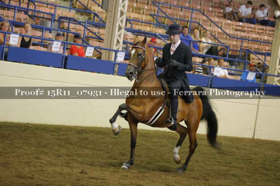 Proof 15R11_07931