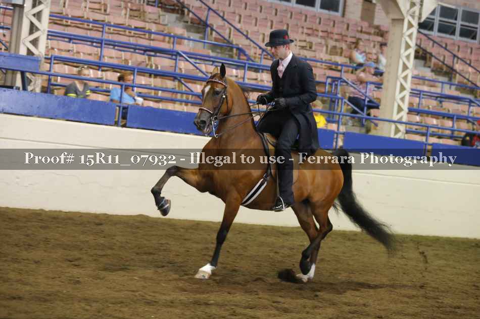 Proof 15R11_07932