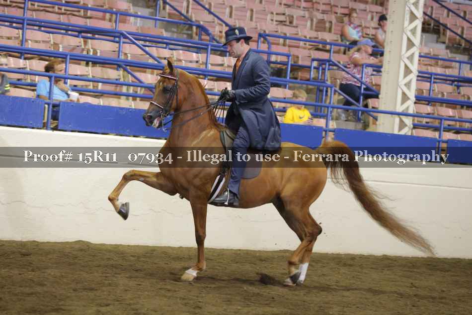 Proof 15R11_07934