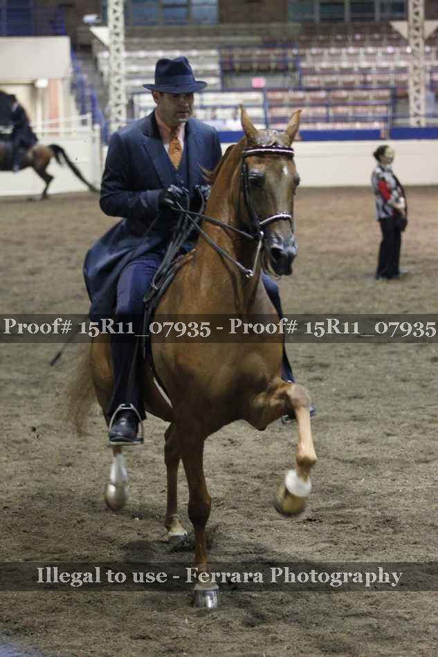 Proof 15R11_07935