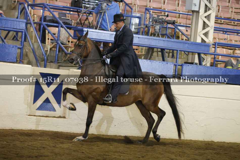 Proof 15R11_07938