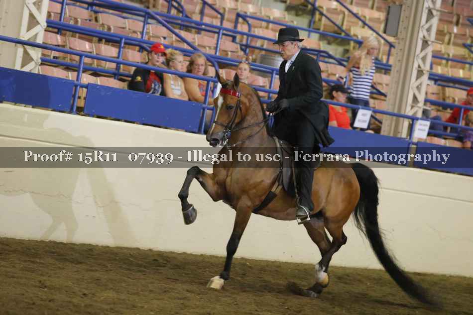 Proof 15R11_07939