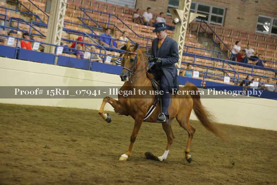 Proof 15R11_07941