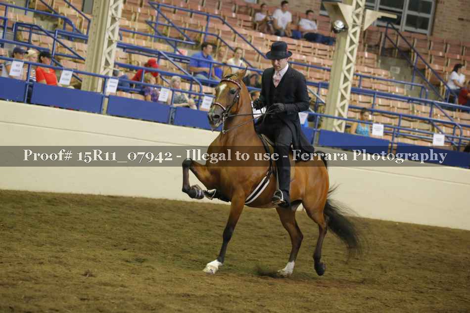 Proof 15R11_07942