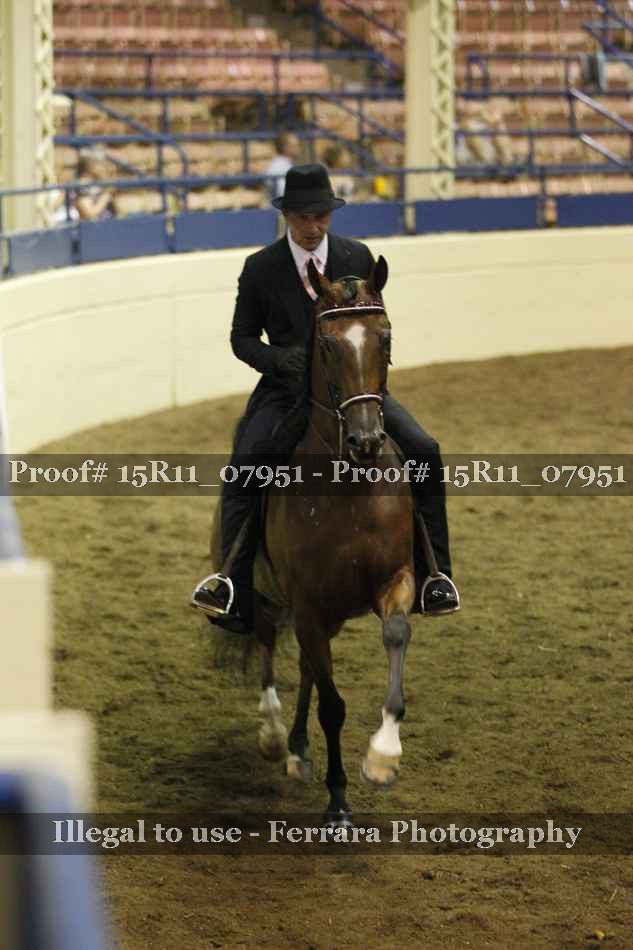 Proof 15R11_07951