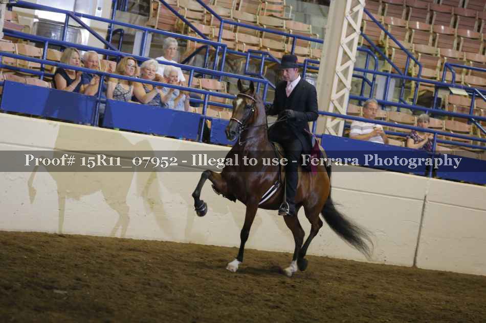 Proof 15R11_07952